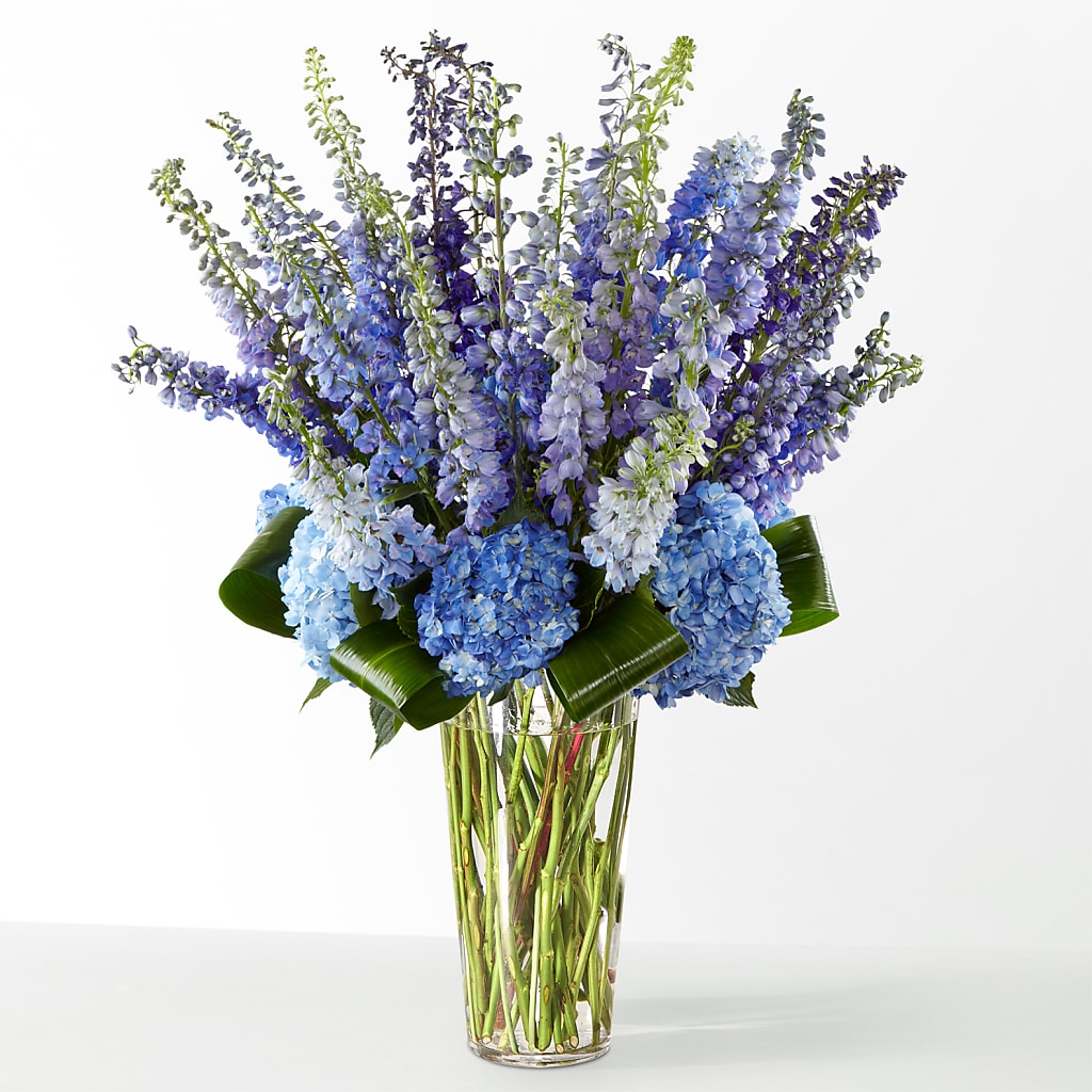 The Editorial – BENNY'S FLOWERS, Norton VA