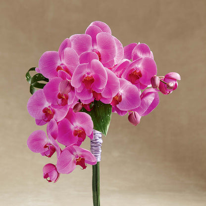 Glorious Bouquet – BENNY'S FLOWERS, Norton VA