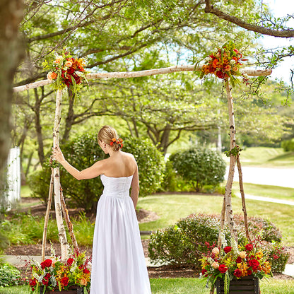 Arbor of Love Archway – BENNY'S FLOWERS, Norton VA